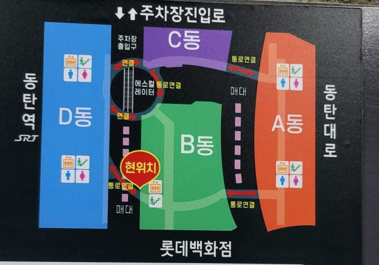 두리수선 이미지