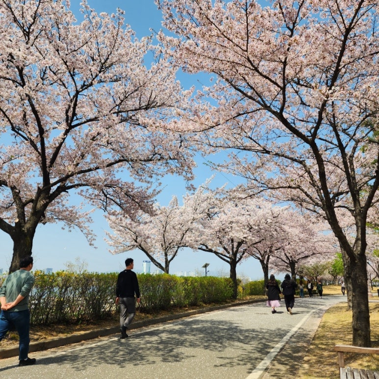 동락매점 이미지