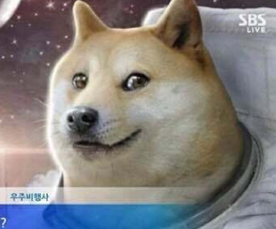 투더문 이미지