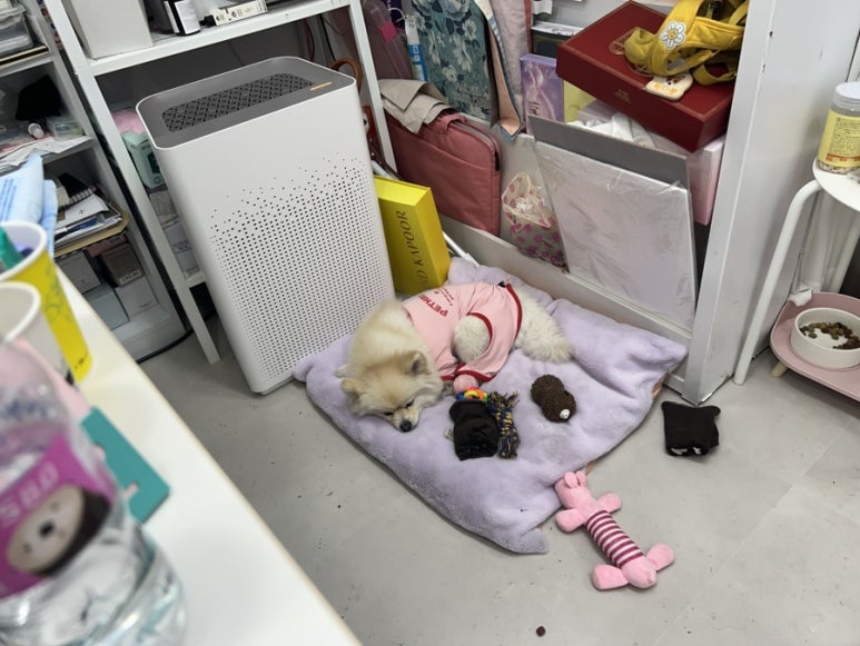가령네일 이미지