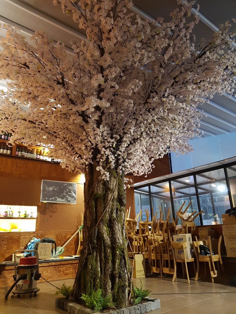신사와나무 이미지