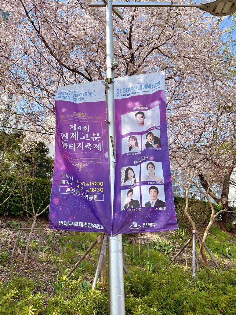 연제장터 이미지