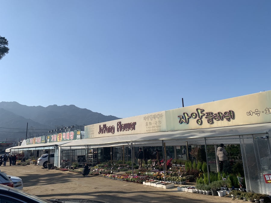 자양꽃직매장 이미지