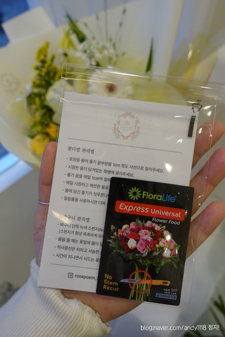 로즈포엠 이미지
