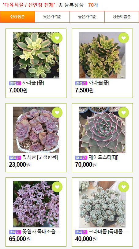 꽃뜰여행 이미지