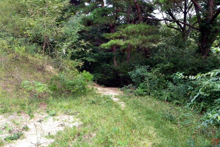충청북도자치연수원 이미지