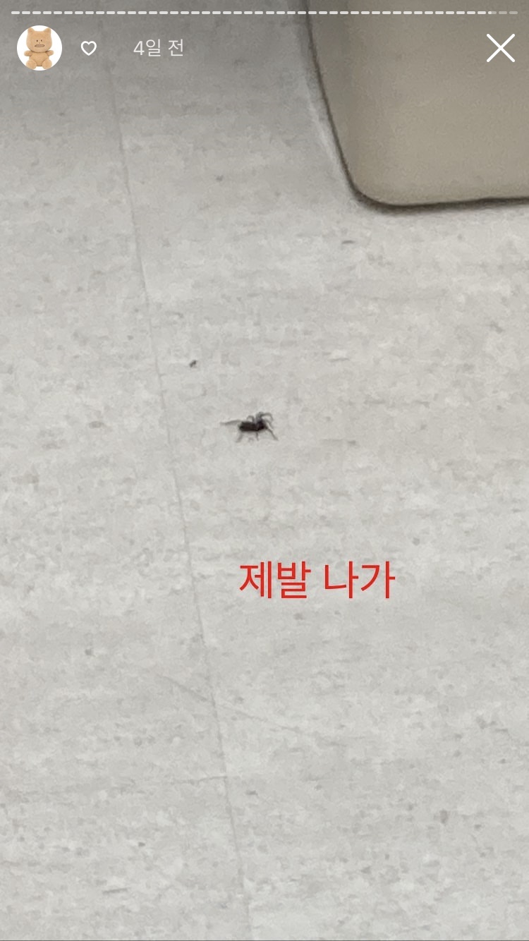 유해브썸띵 이미지