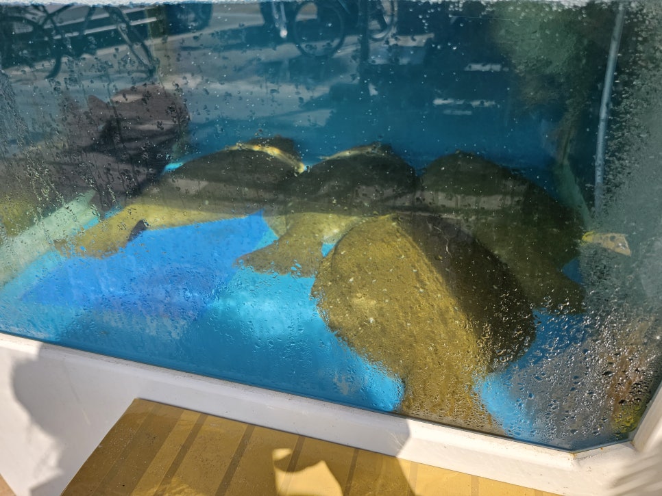 왕고래초밥김밥 이미지