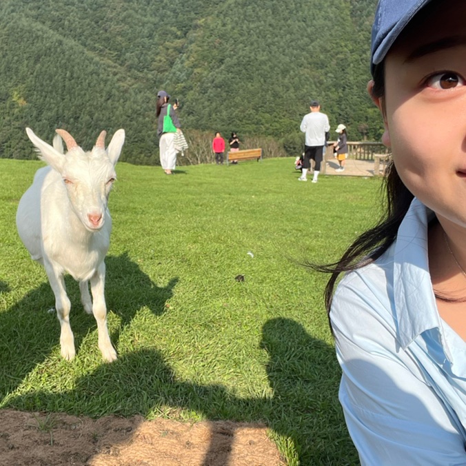 황부자실비 이미지