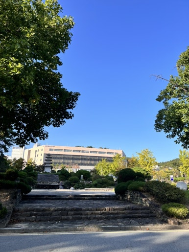 죽빵당구장 이미지