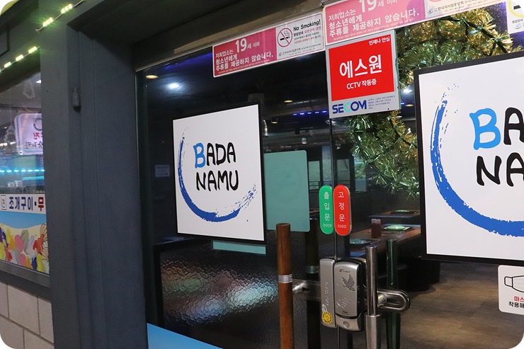 바다나무 이미지