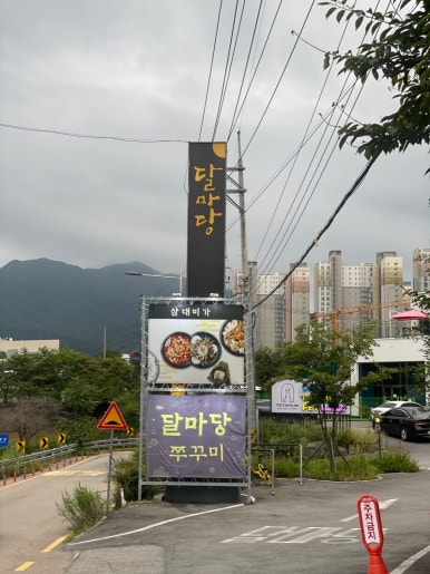 달마당쭈꾸미 이미지