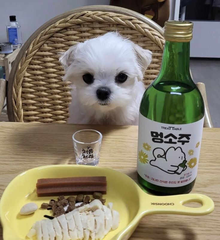 오덴 이미지