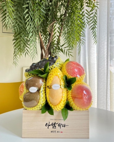 아담하다 이미지