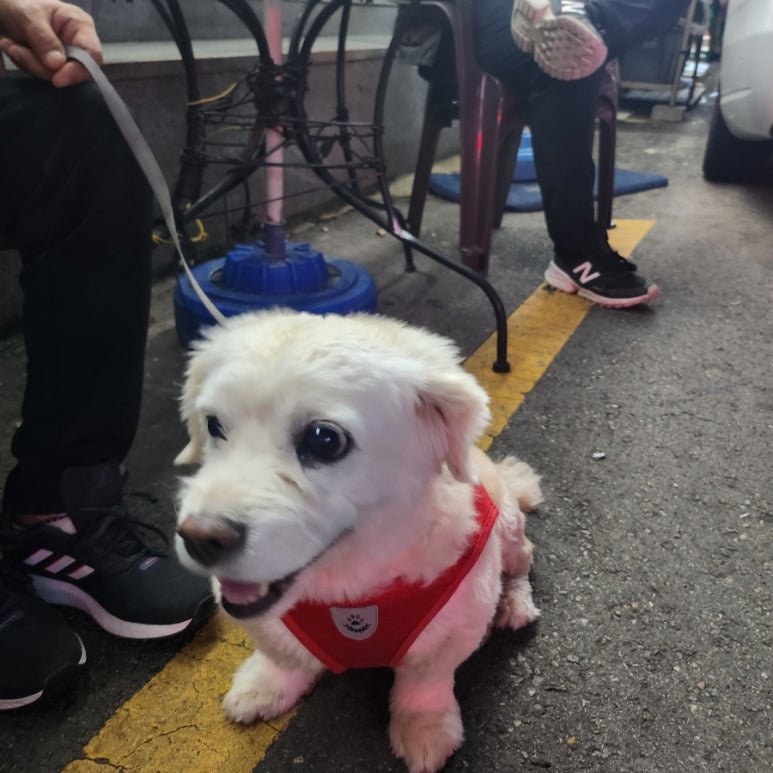 OK암소갈비살 하단점 이미지