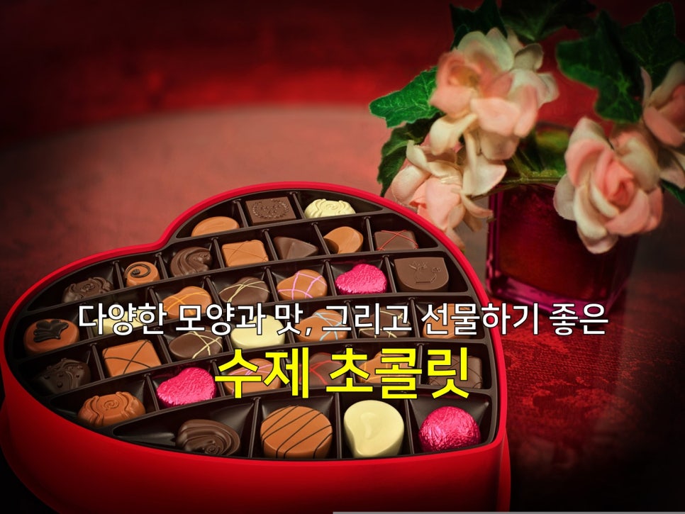 카카오앤티 이미지