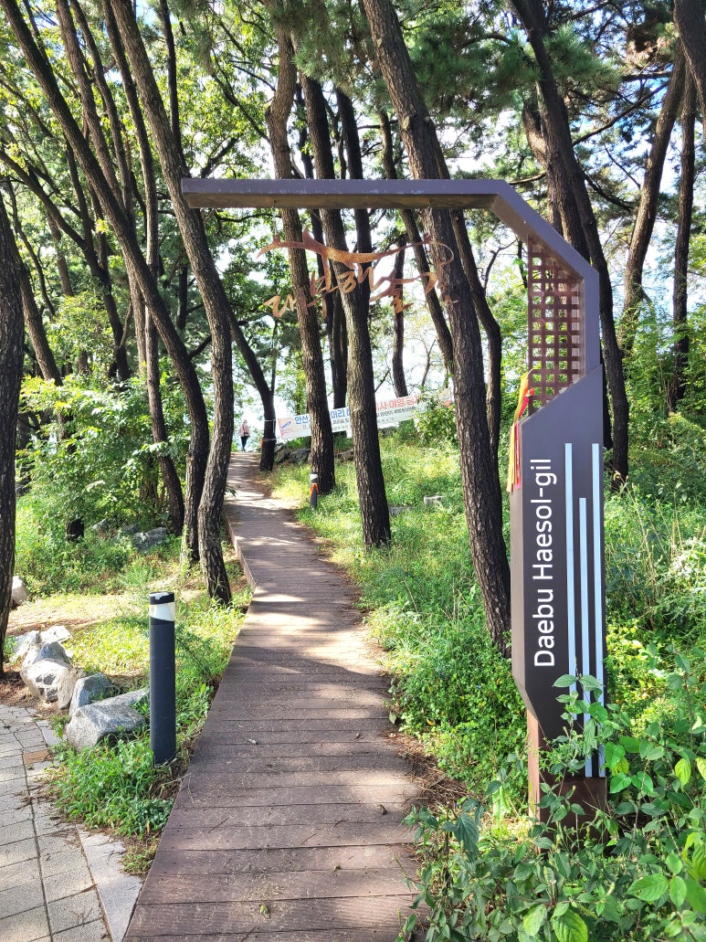 안산갈매기 이미지
