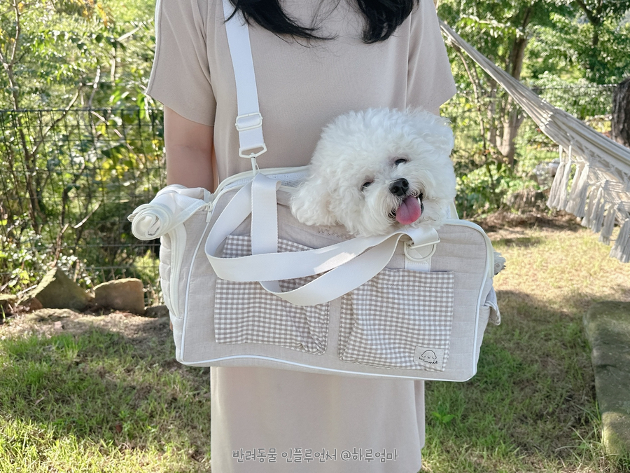 프롬위니 이미지