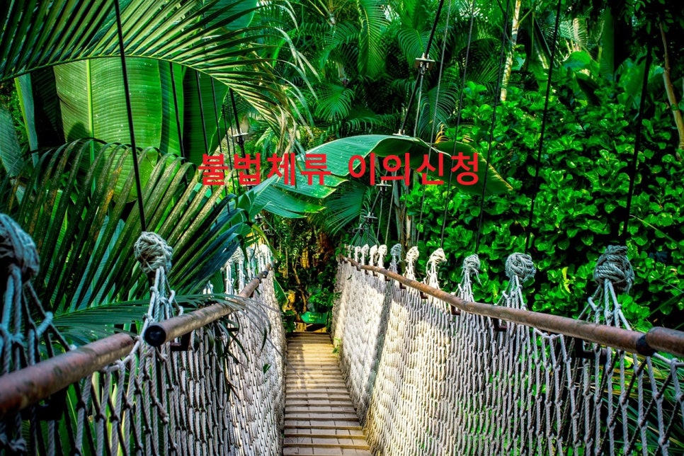 세종행정사 이미지