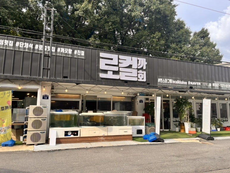 로컬까회 이미지