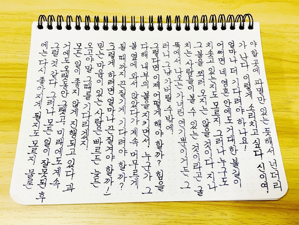 (주)로디아 이미지