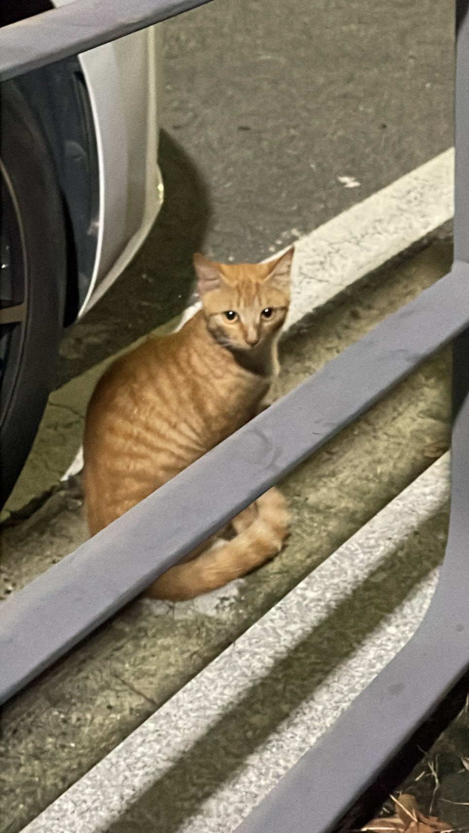 옥천떡집 이미지