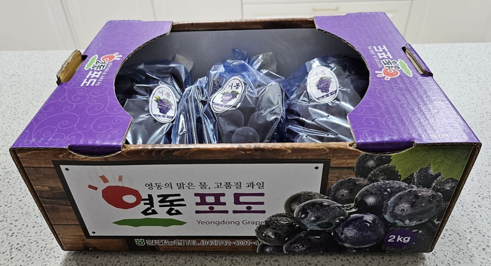 대농식품 이미지