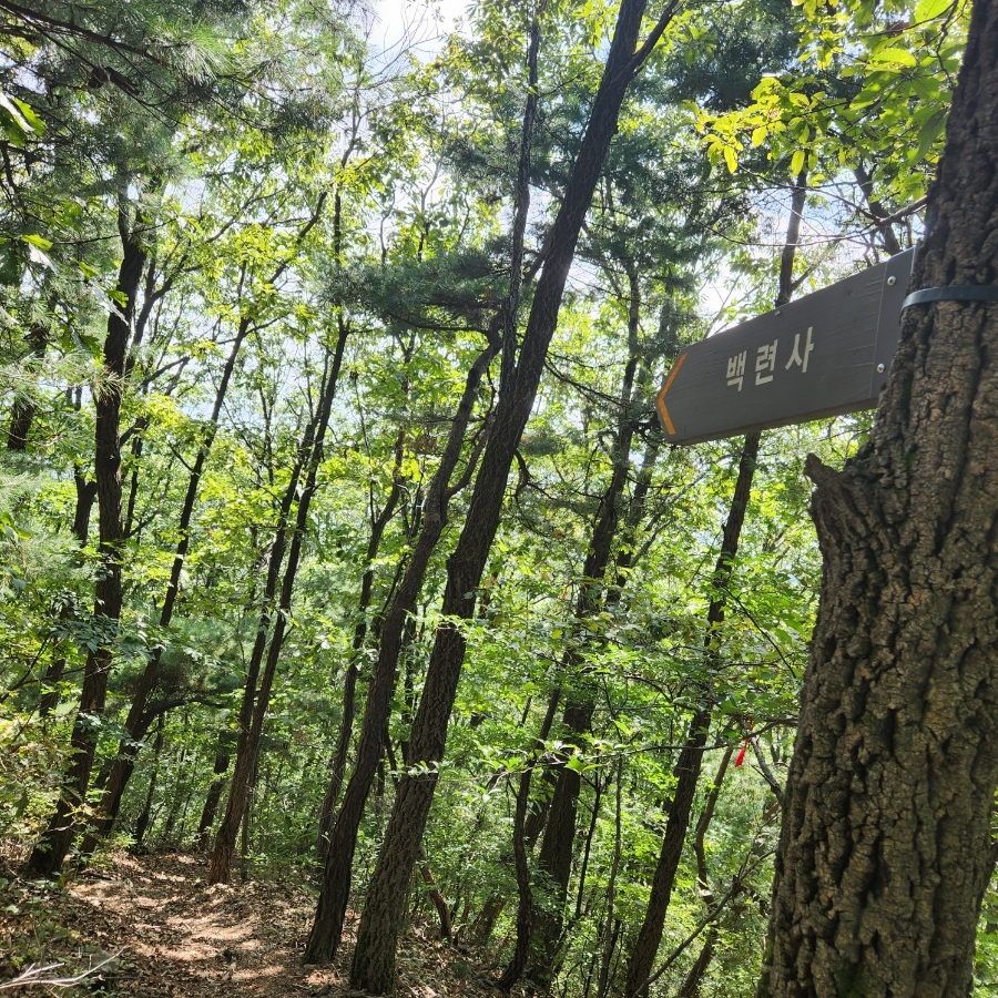 향수산 정상 이미지