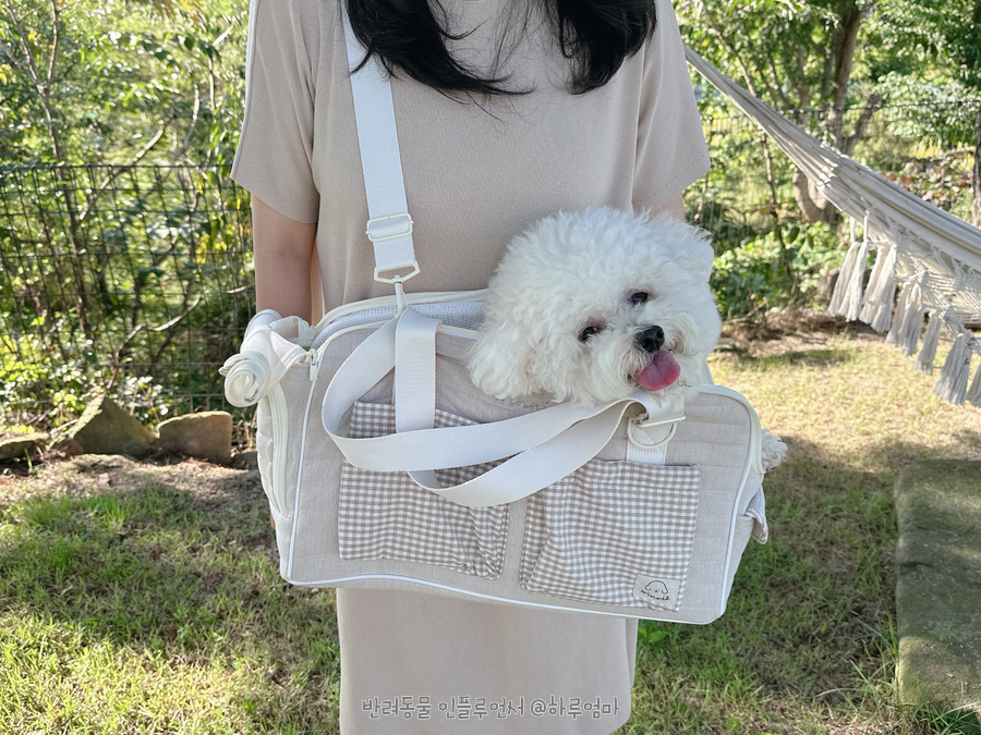 프롬위니 이미지