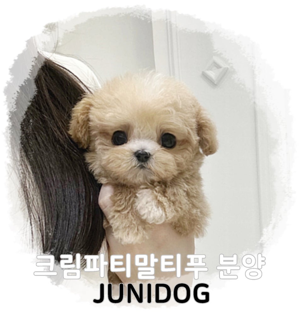 얌얌 이미지