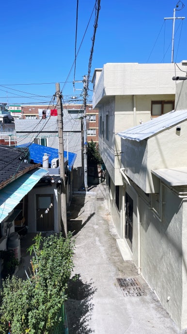브레드 밋 파리 이미지