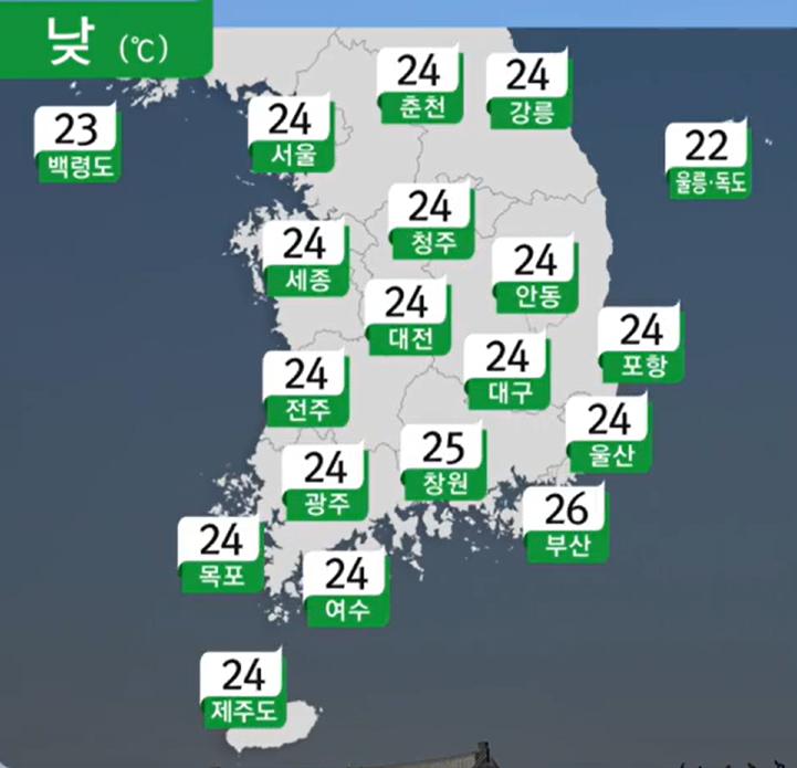 양식나라 이미지