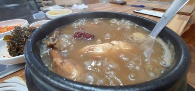 참옻닭 이미지
