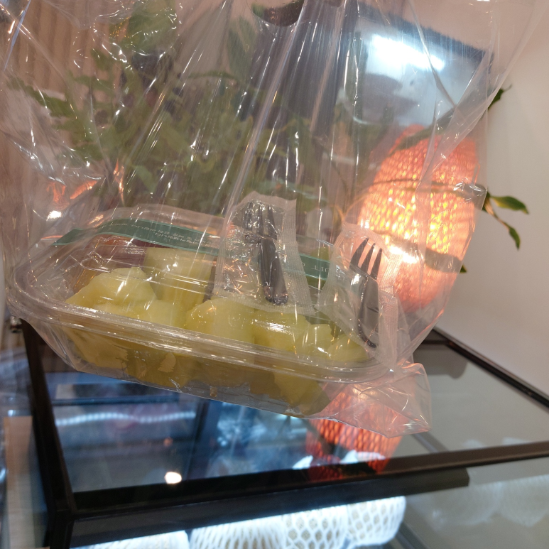 과일카세 이미지