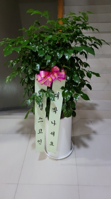 준코인노래연습장 이미지
