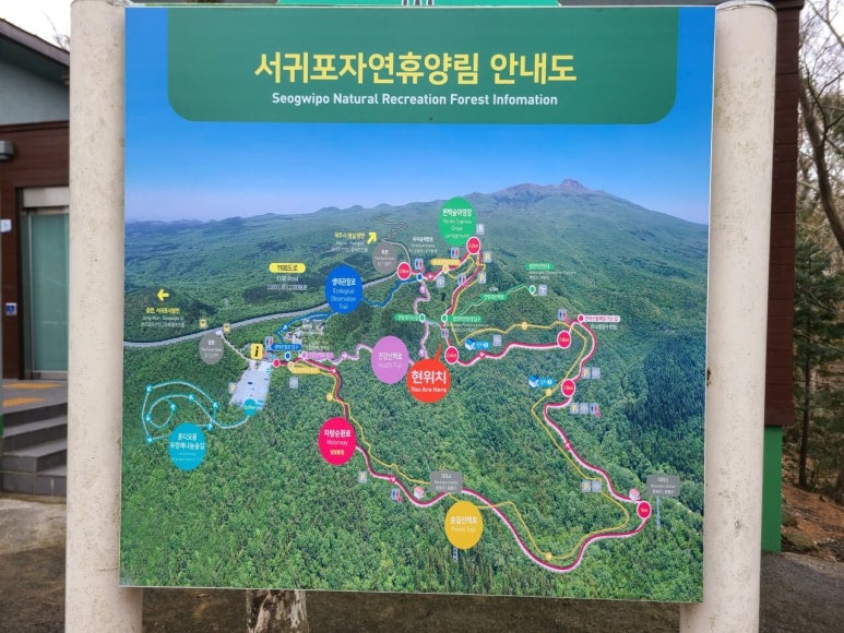 서귀포자연휴양림야영장 이미지