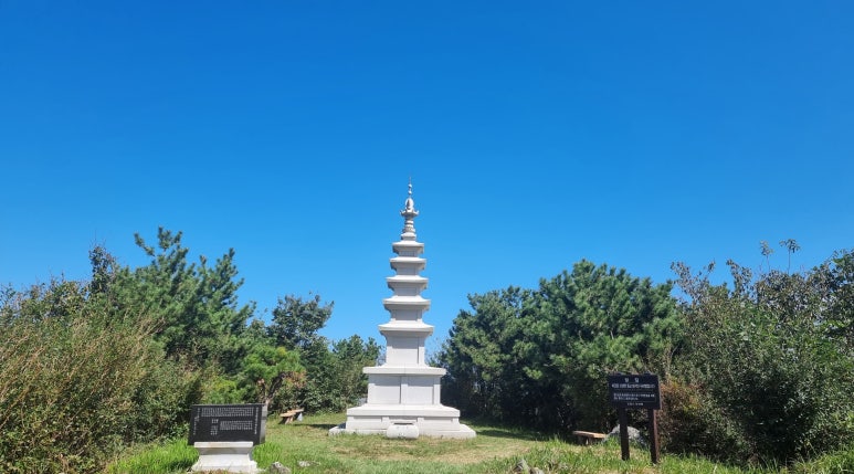연 화 이미지