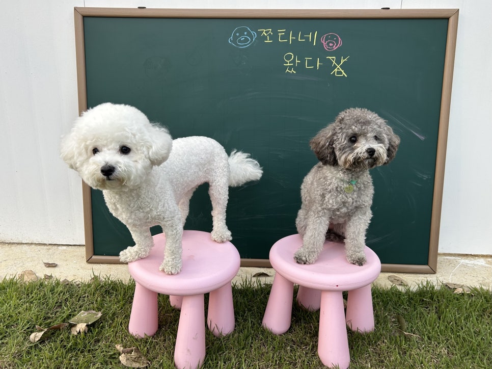 스테이한가로이 이미지