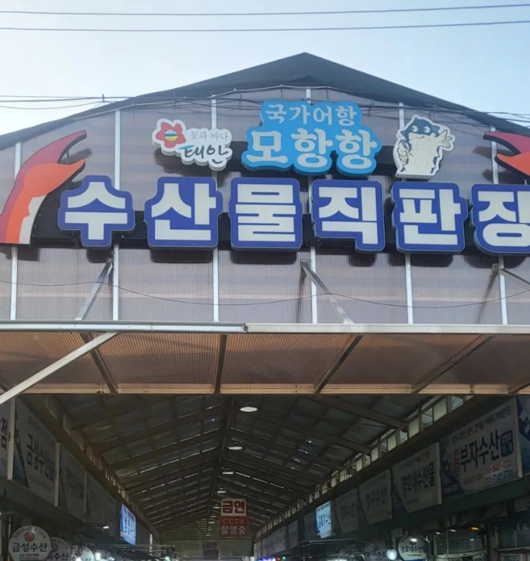 태광수산 이미지