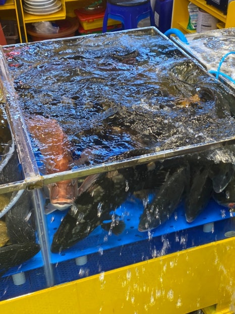 강미정수산 이미지