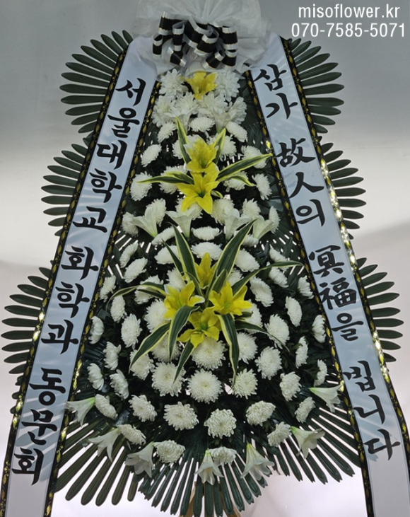 야탑동 351 (분당차병원) 이미지