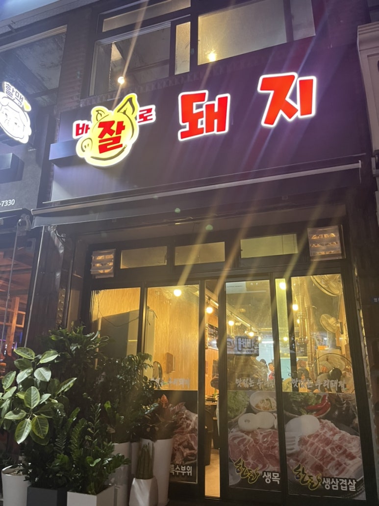 바로잘돼지 이미지
