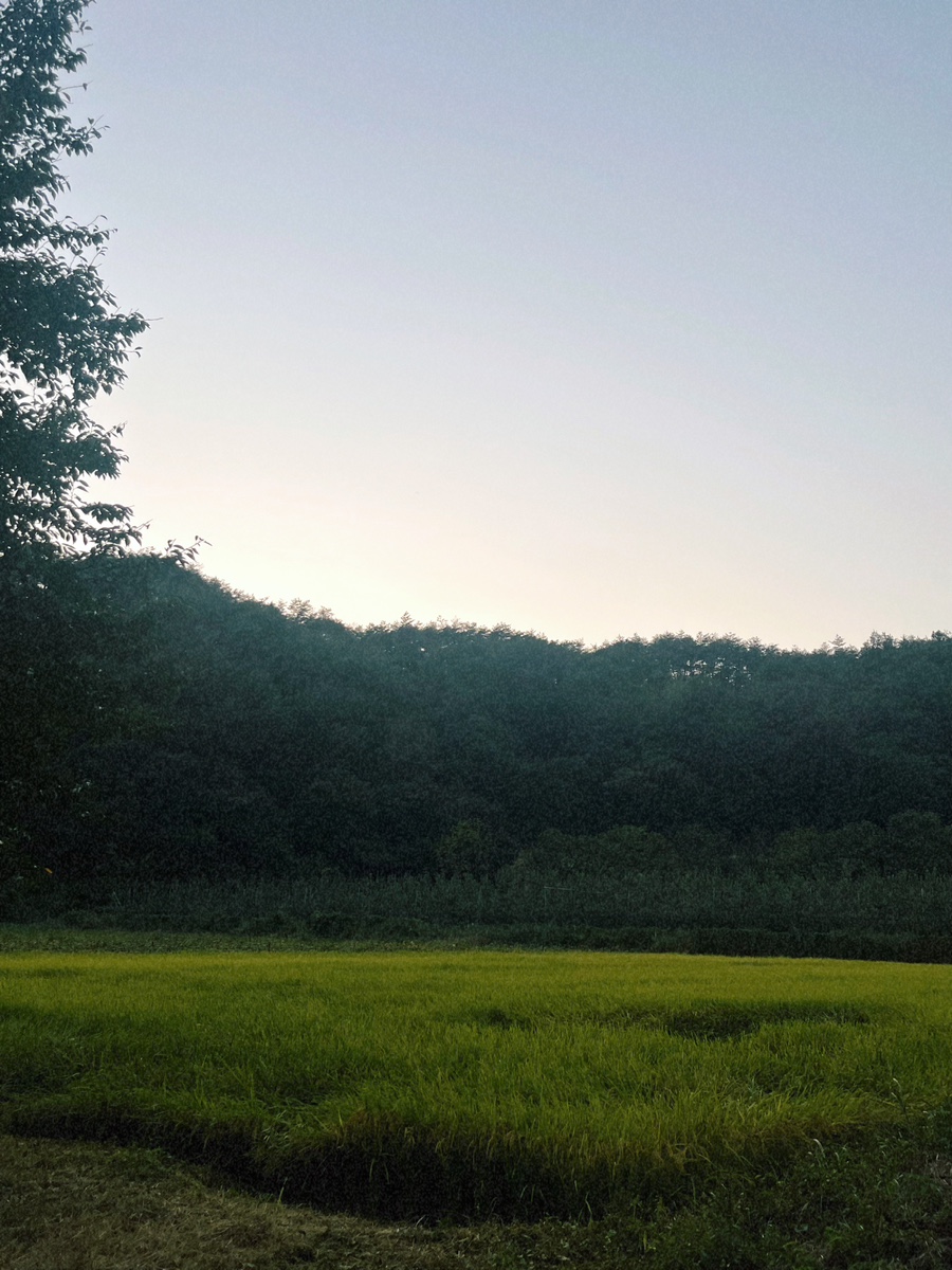 청송해달별펜션 이미지