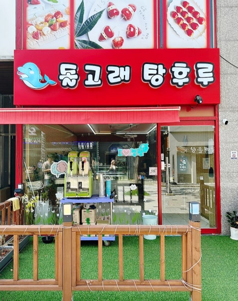 돌고래 탕후루 이미지