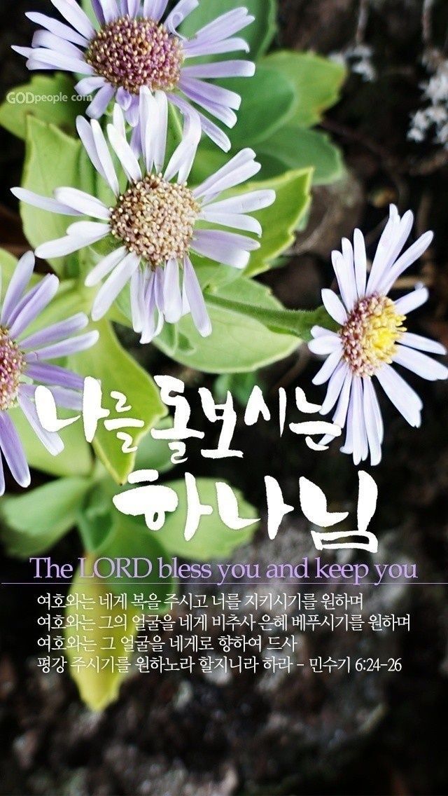 우리;꽃 이미지