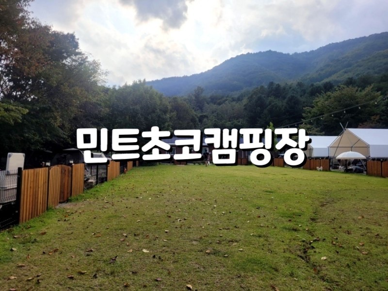 울타리천국 이미지