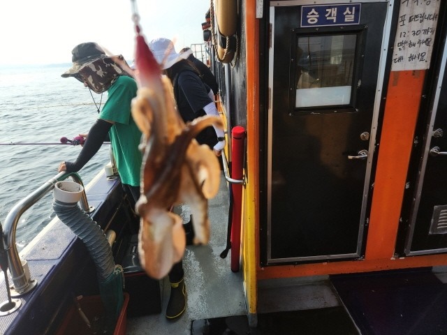 부킹호 이미지