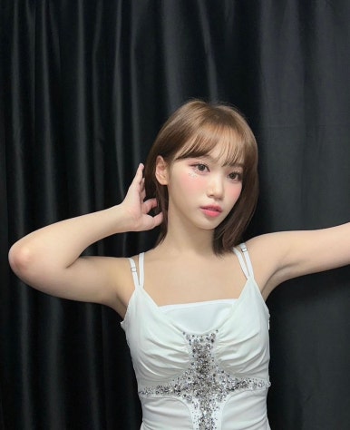 르무드헤어 이미지