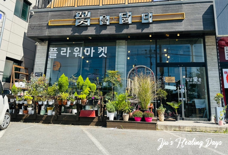 꽃을닮다 이미지