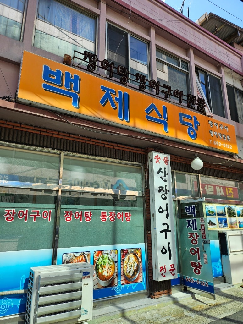 백제장어 이미지